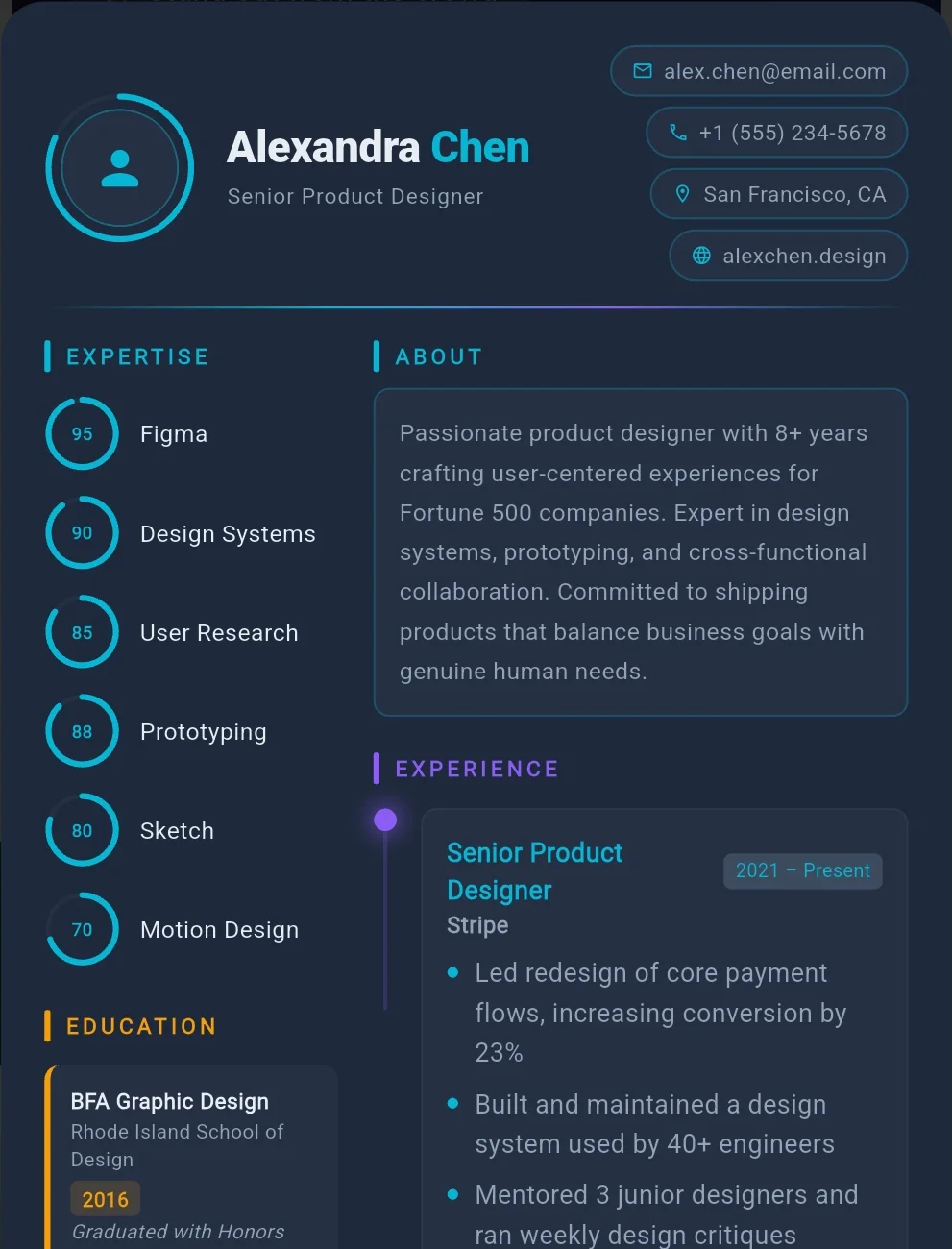 Infographic CV template — dark canvas with ring charts and skill meters